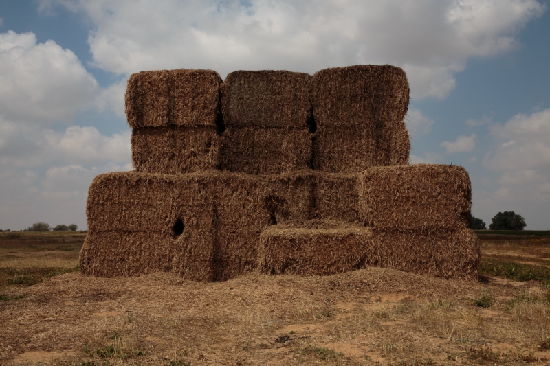 A pile of hay sits piled in the Negev on April 23, 2013.  