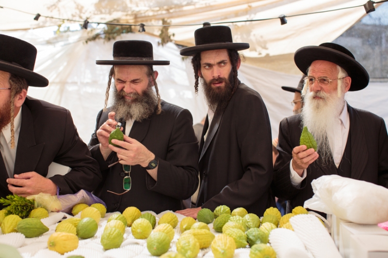 A group of Orthodox Jewish men look at Esrog's (Citron) for the holiday of Sukkot at a Sukkah market in Jerusalem.  